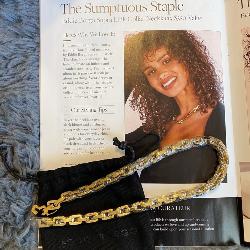 Eddie Borgo Supra Chain Link Necklace ~ Rachel Zoe box 📦 of Style - Picture 5 of 5